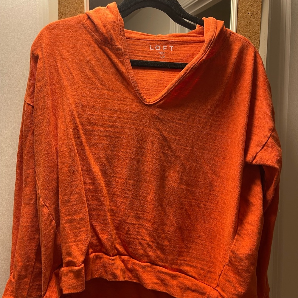 Loft sweater